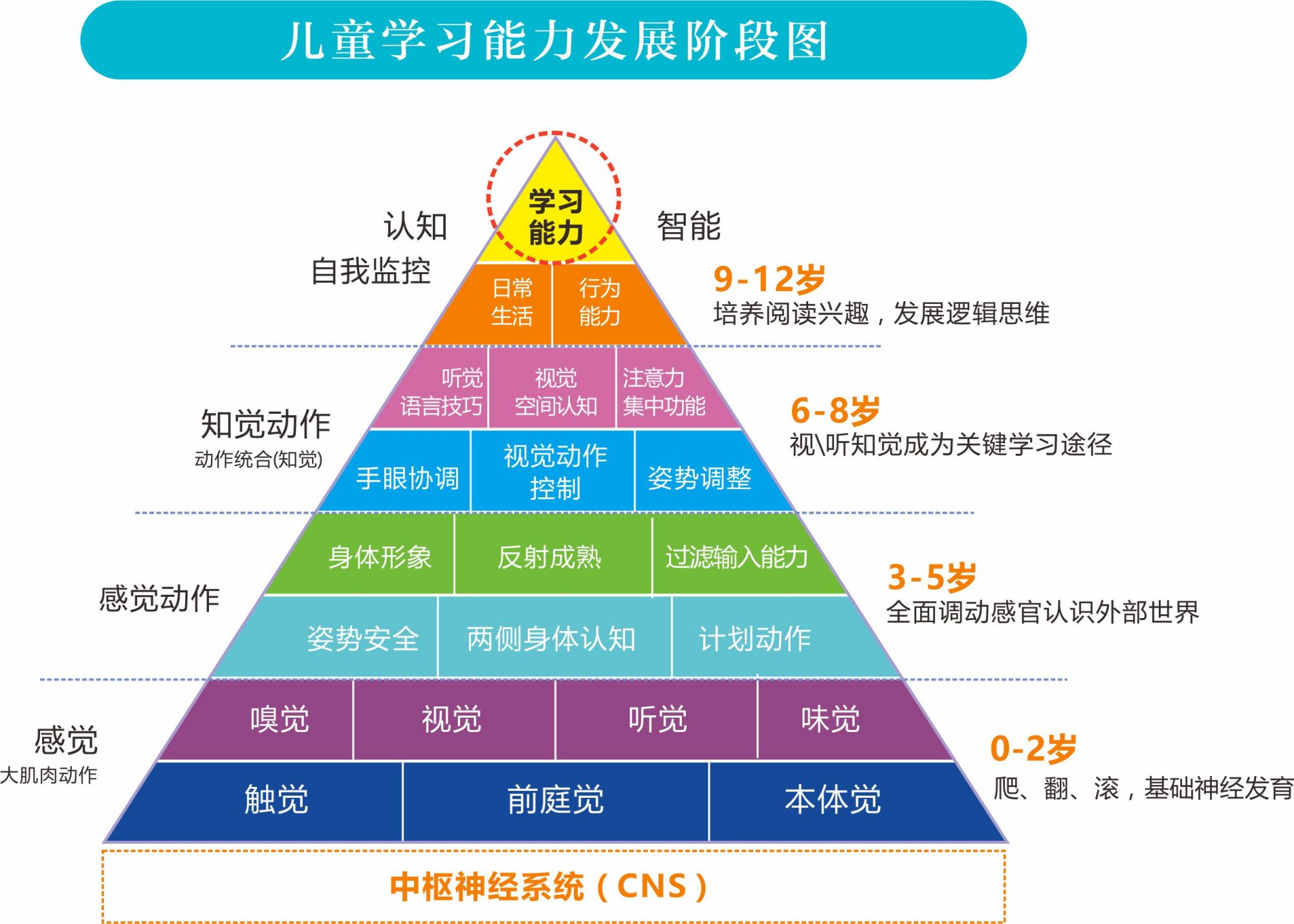 多特儿童专注力图片图片