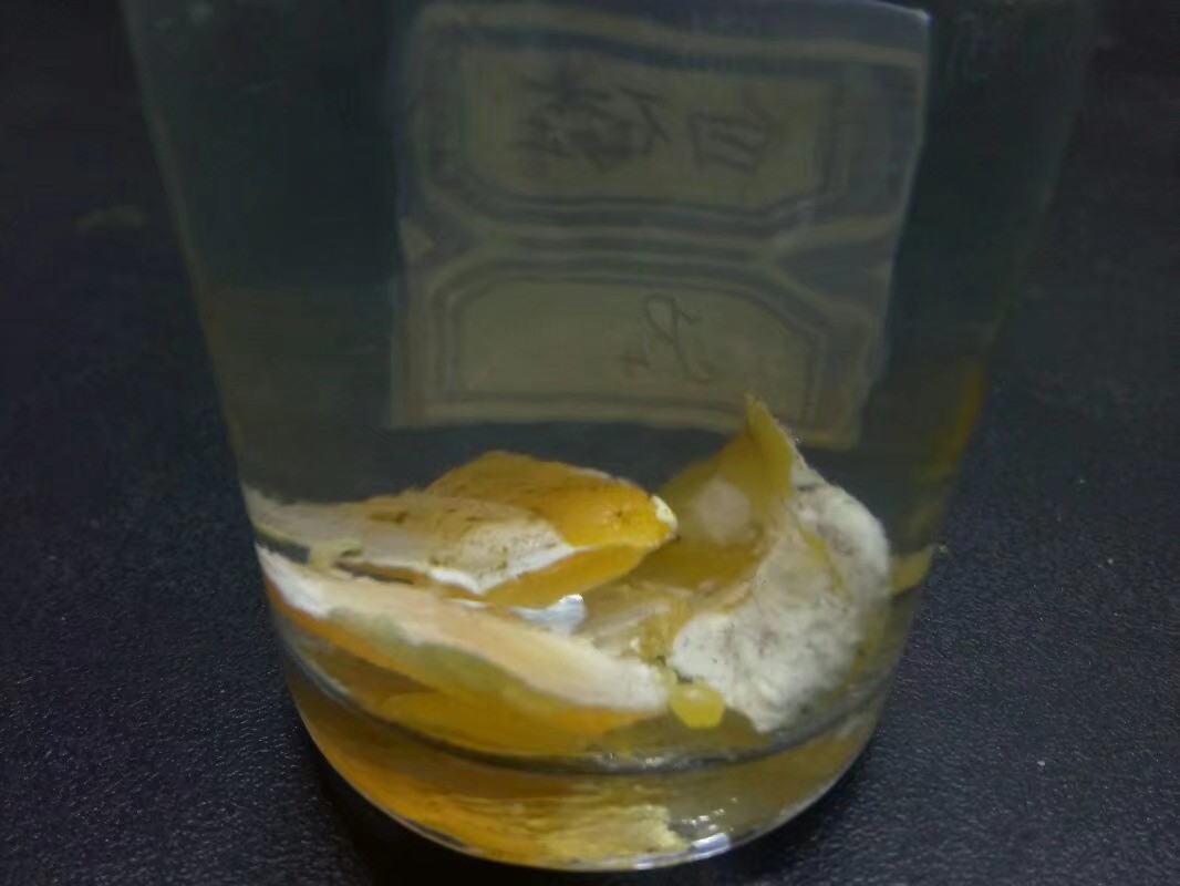 了解"灯芯效应"后,对脂肪有了全新的理解