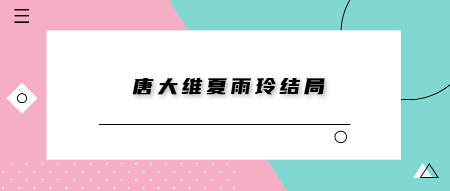 唐大维夏雨玲结局