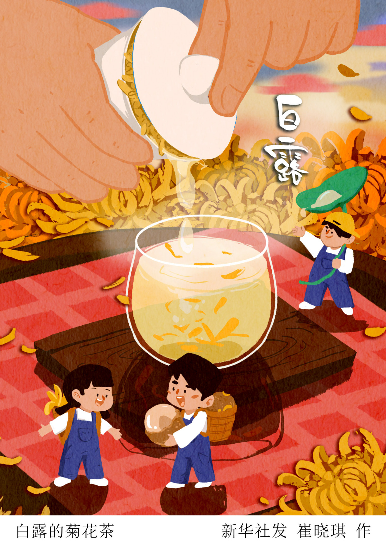 「二十四节气·白露」白露的菊花茶