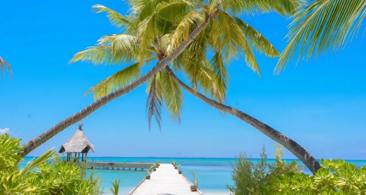 300k的照片尺寸是多少