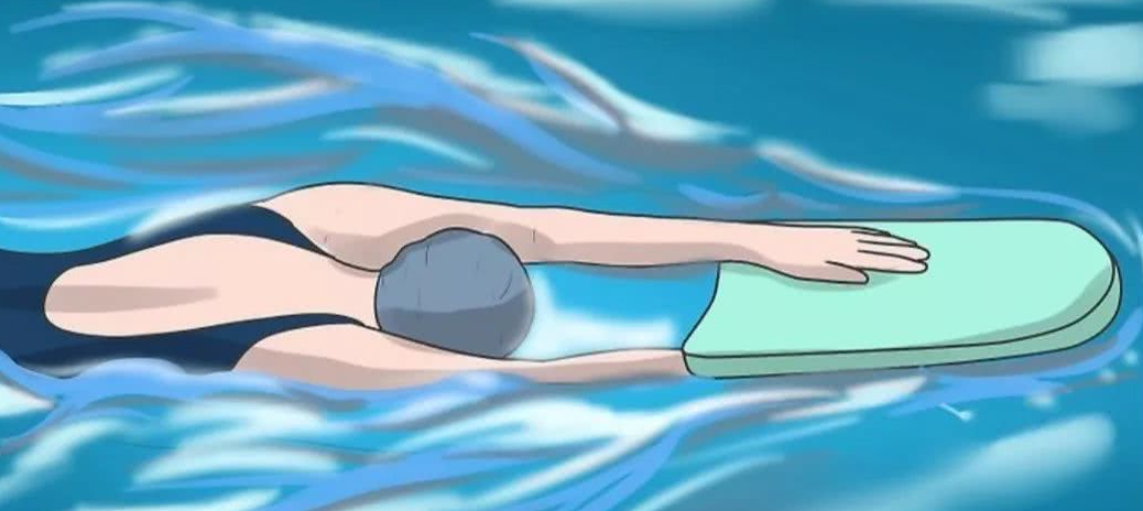 自由泳和蛙泳的区别