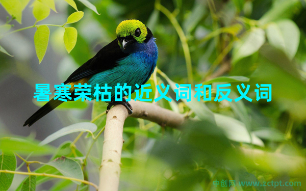 暑寒榮枯的意思是什么?暑寒榮枯的意思以及近義詞和反義詞 Bird paradise