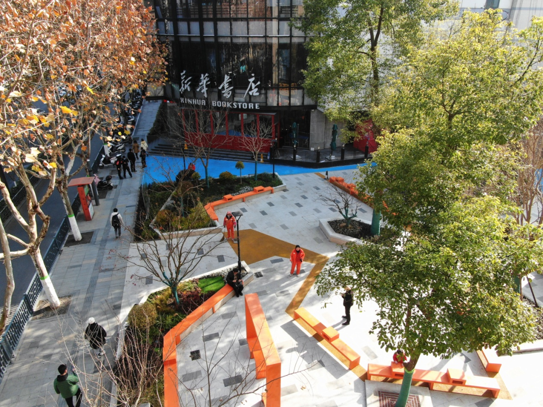 优秀！我区这项考核成绩排名全市第一