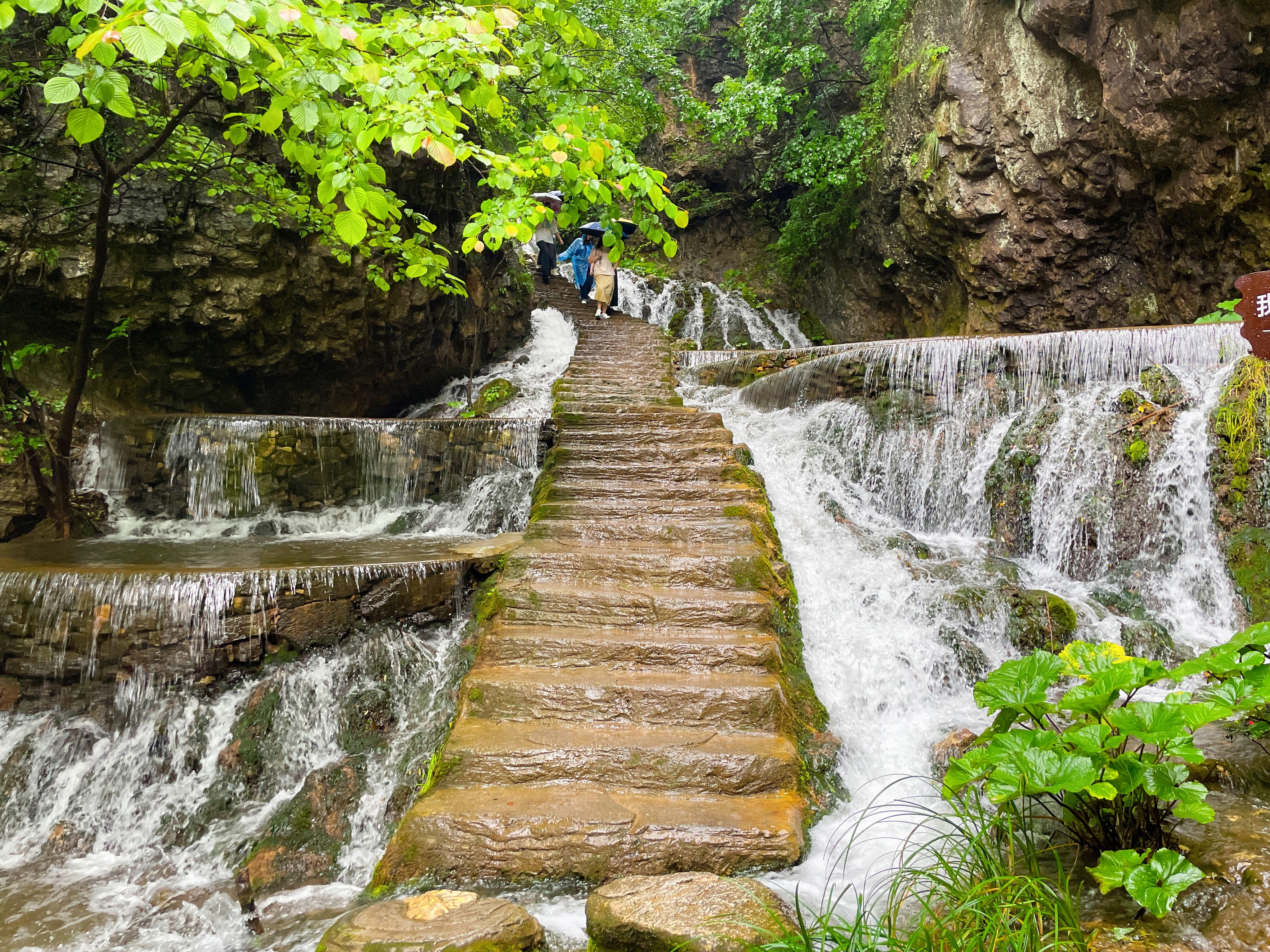 河南超美避暑小城栾川,除了老君山建议来这个景区看瀑布,凉快