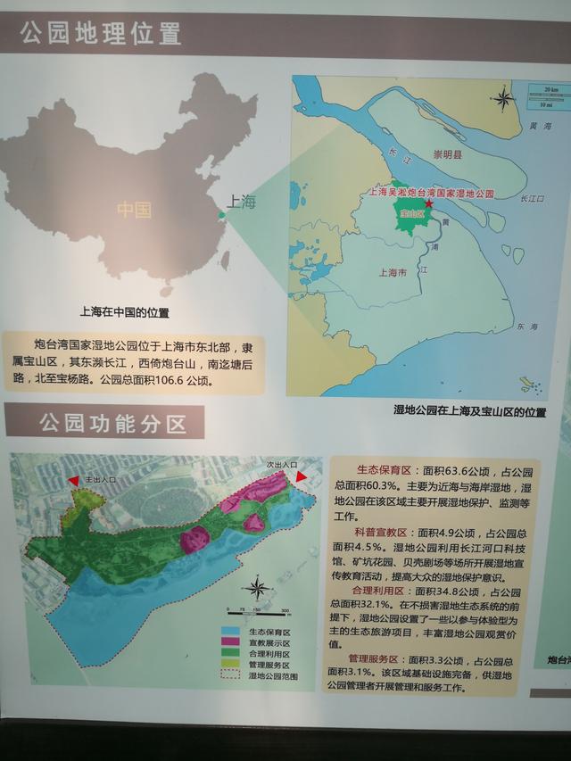 上海炮台湾国家湿地公园,因清水师炮台而名,捉螃蟹,长江吴淞口