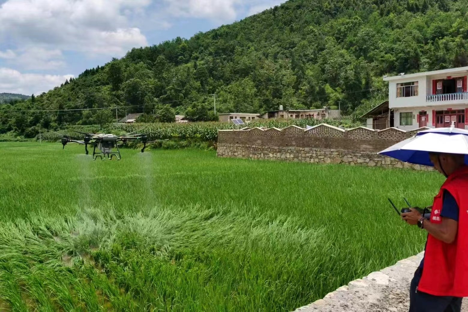 开阳县宅吉乡:科技助力农业生产提质增效