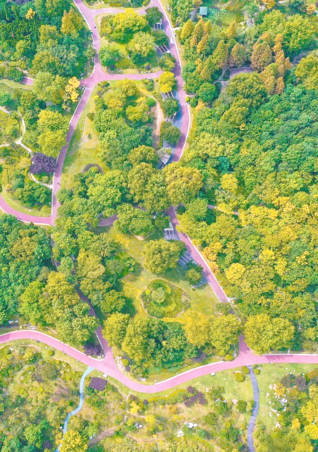 今天日照天气今日情况