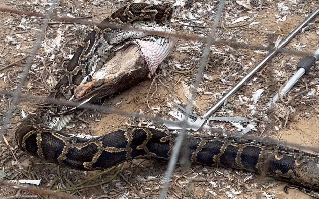 629_393gif 动态图 动图