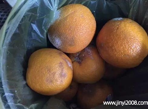 脐橙有些软了还能吃吗(脐橙坏了从里面还是外面)