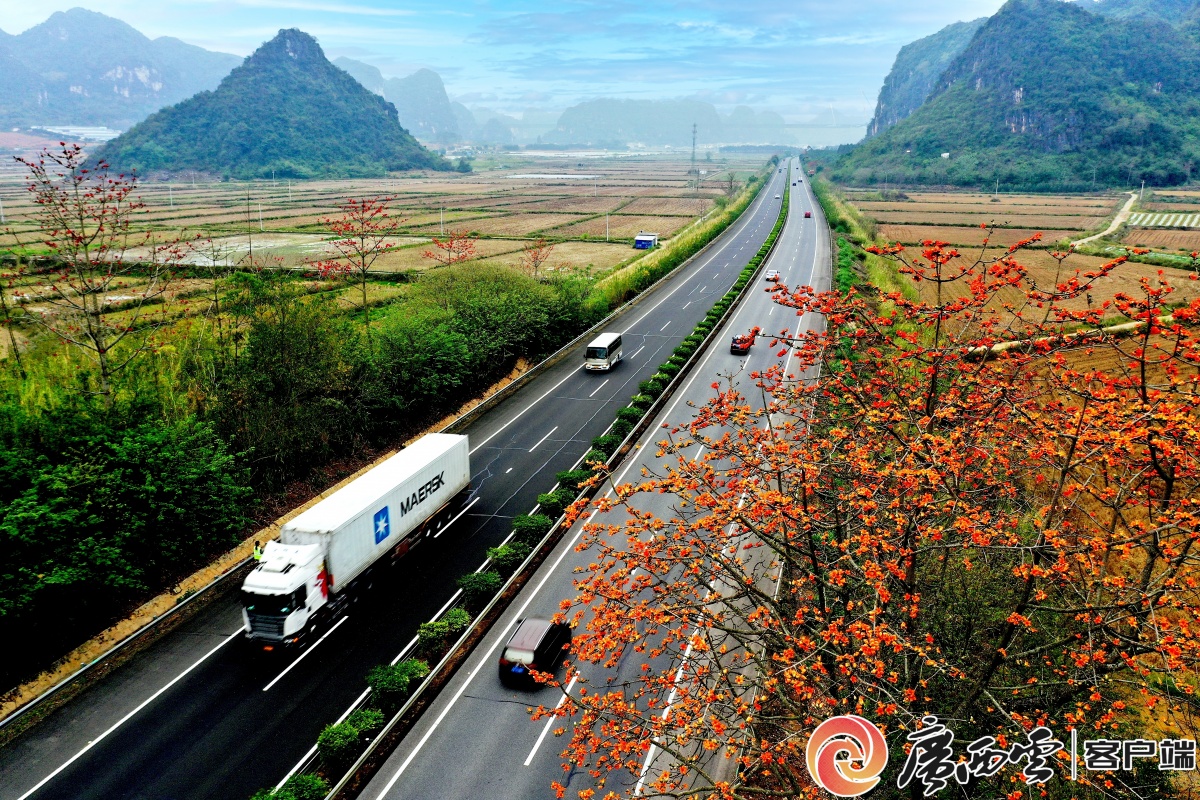 南疆国门路 车行花丛中