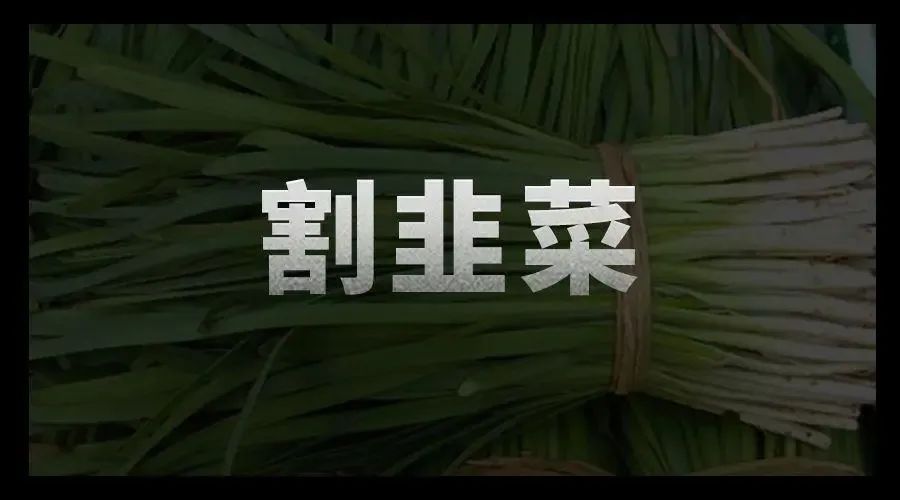 拿着现金的人会随时感到焦虑——我该买点什么,才能避免被通胀割韭菜?