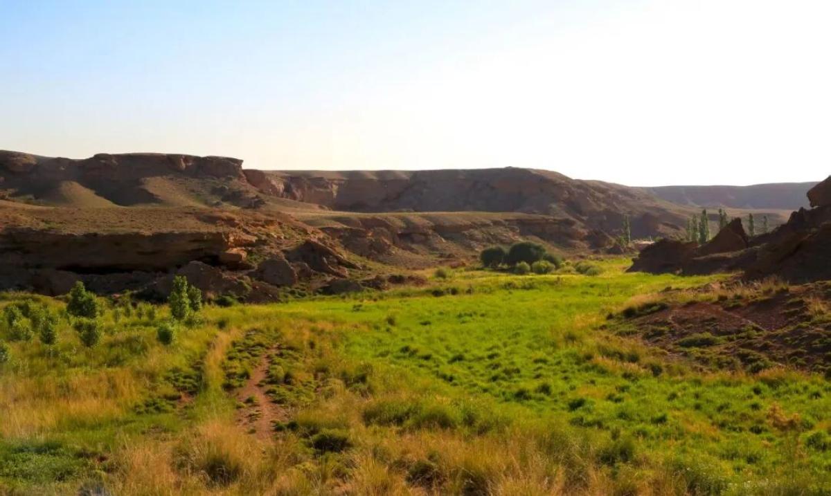 金昌:泉沟秋韵别样美