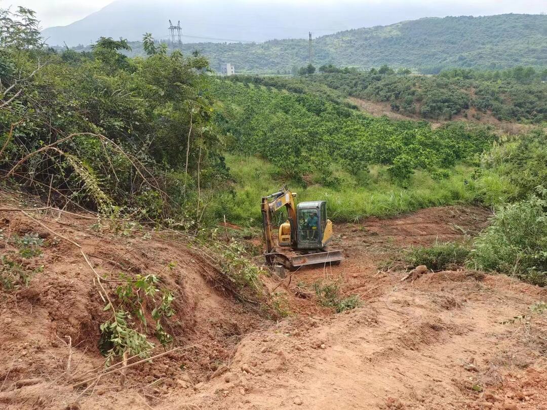 道县四马桥镇全力打造防火隔离带 筑牢森林防火安全屏障