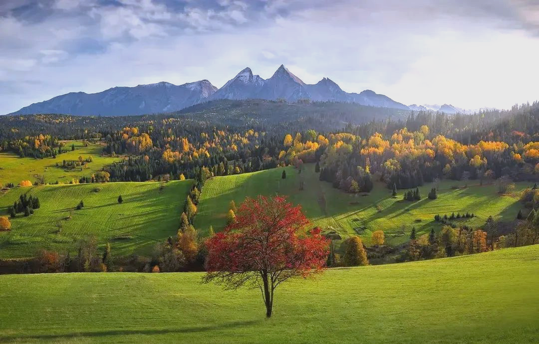 探索大自然的奇妙景观,感受大自然的鬼斧神工!