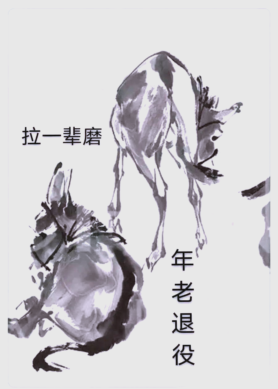 深入探究"过河拆桥"与"卸磨杀驴"的成语内涵与来源