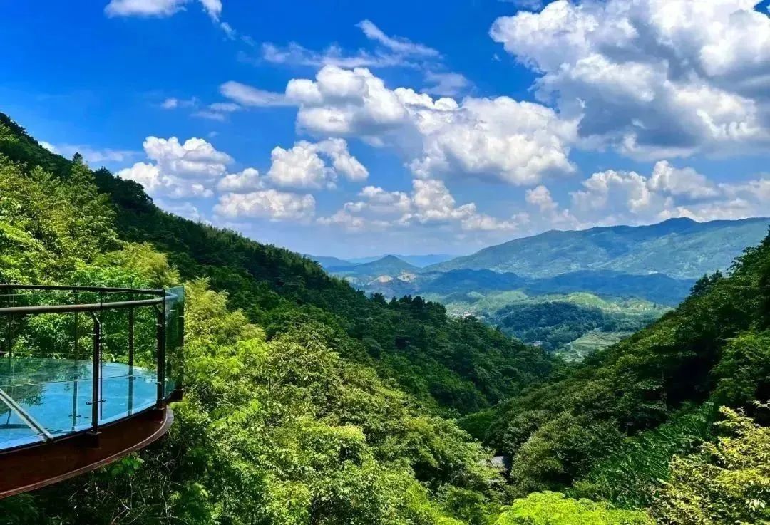 寻觅乡村美食,探索秋游胜地!来沙县逛逛吧