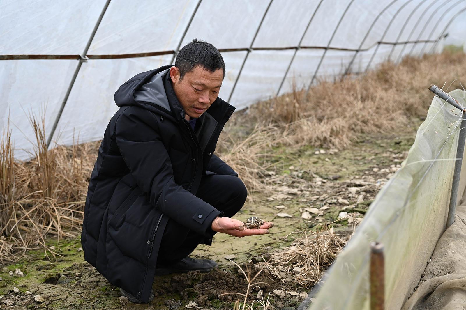 今日永州訊(藍山特約記者 梁利)1月7日,藍山縣塔峰鎮社門村晴霞種養