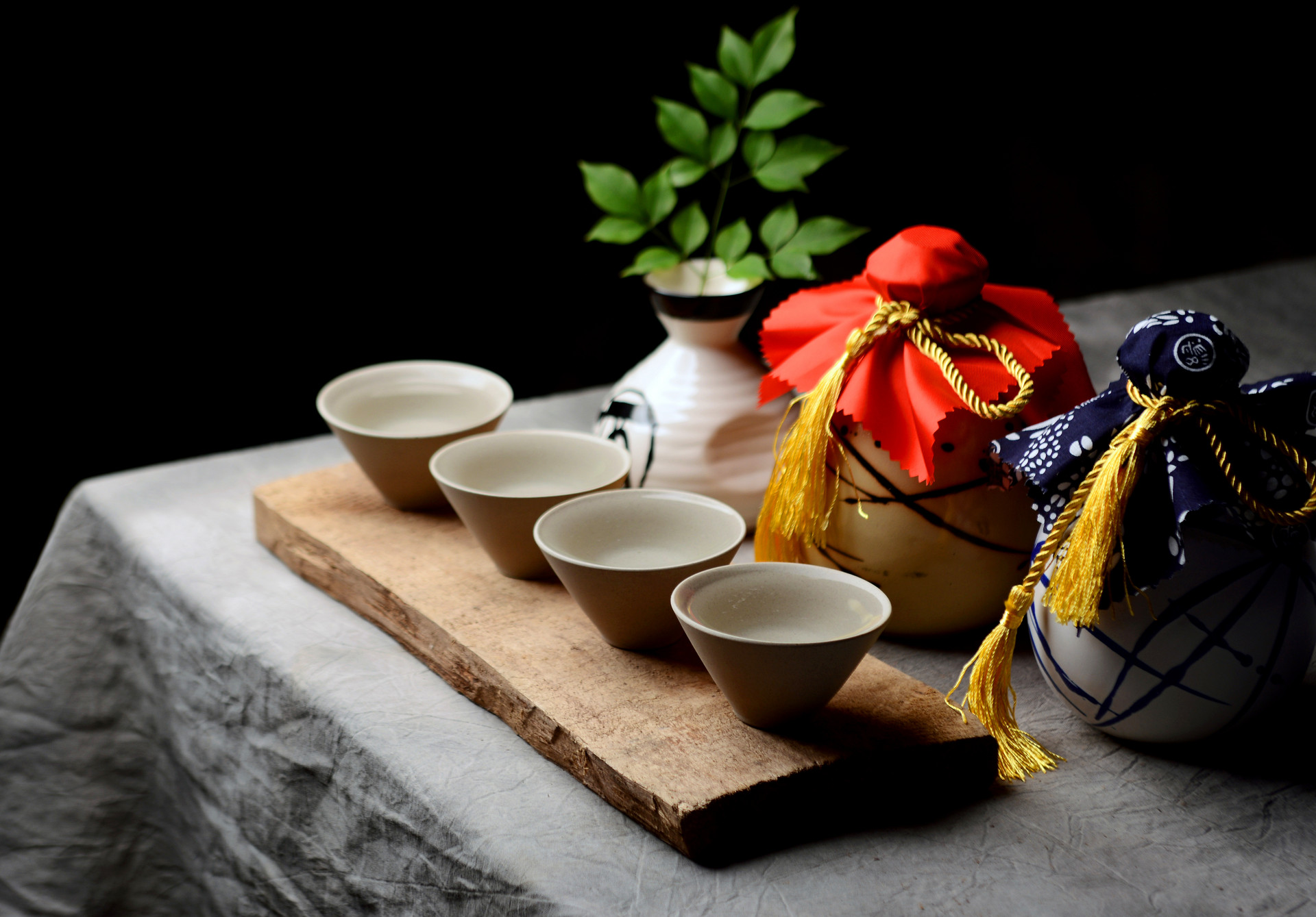 诗酒趁年华,人生须尽欢