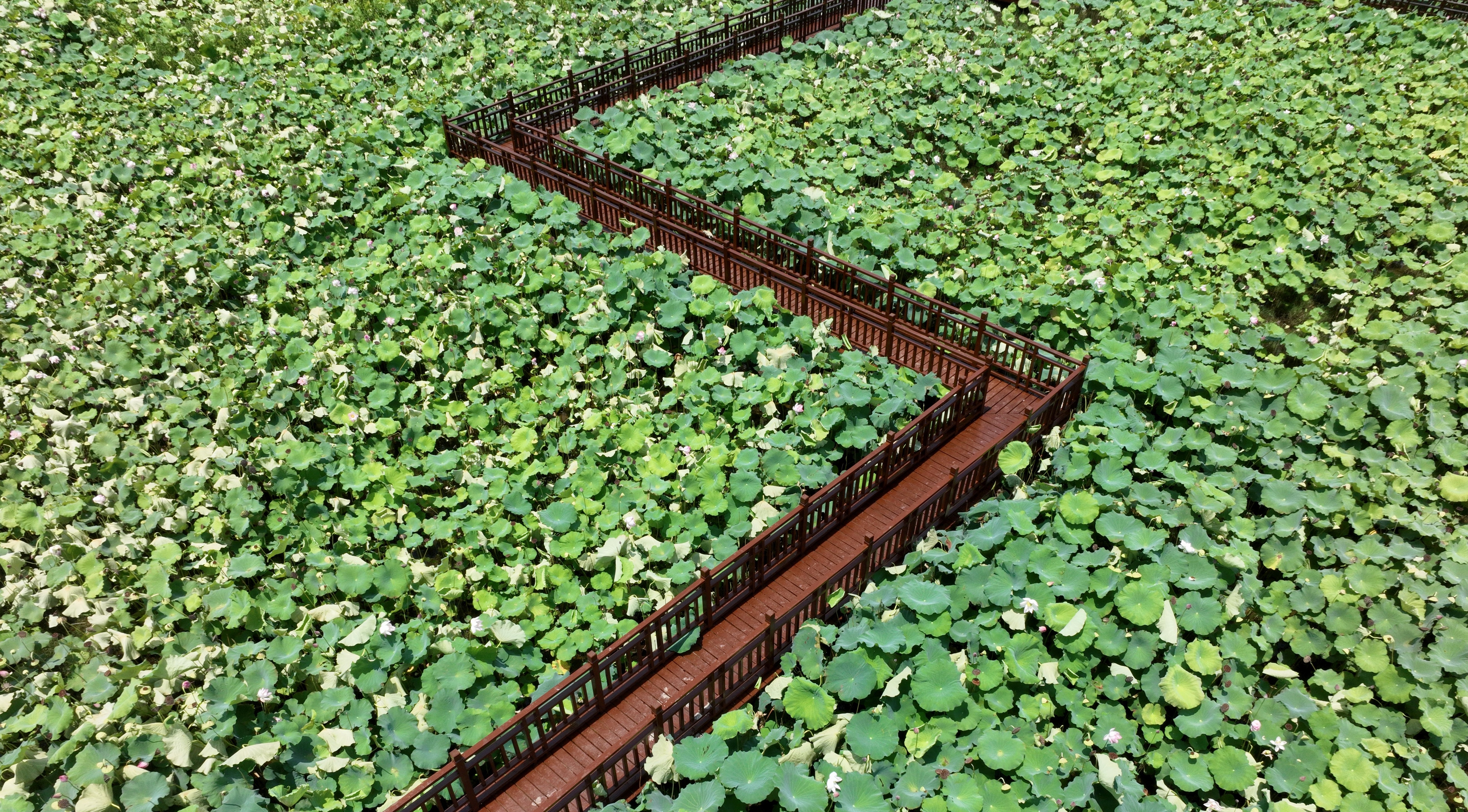 与长三角携手·对话|林国荣:众人的事情由众人商量