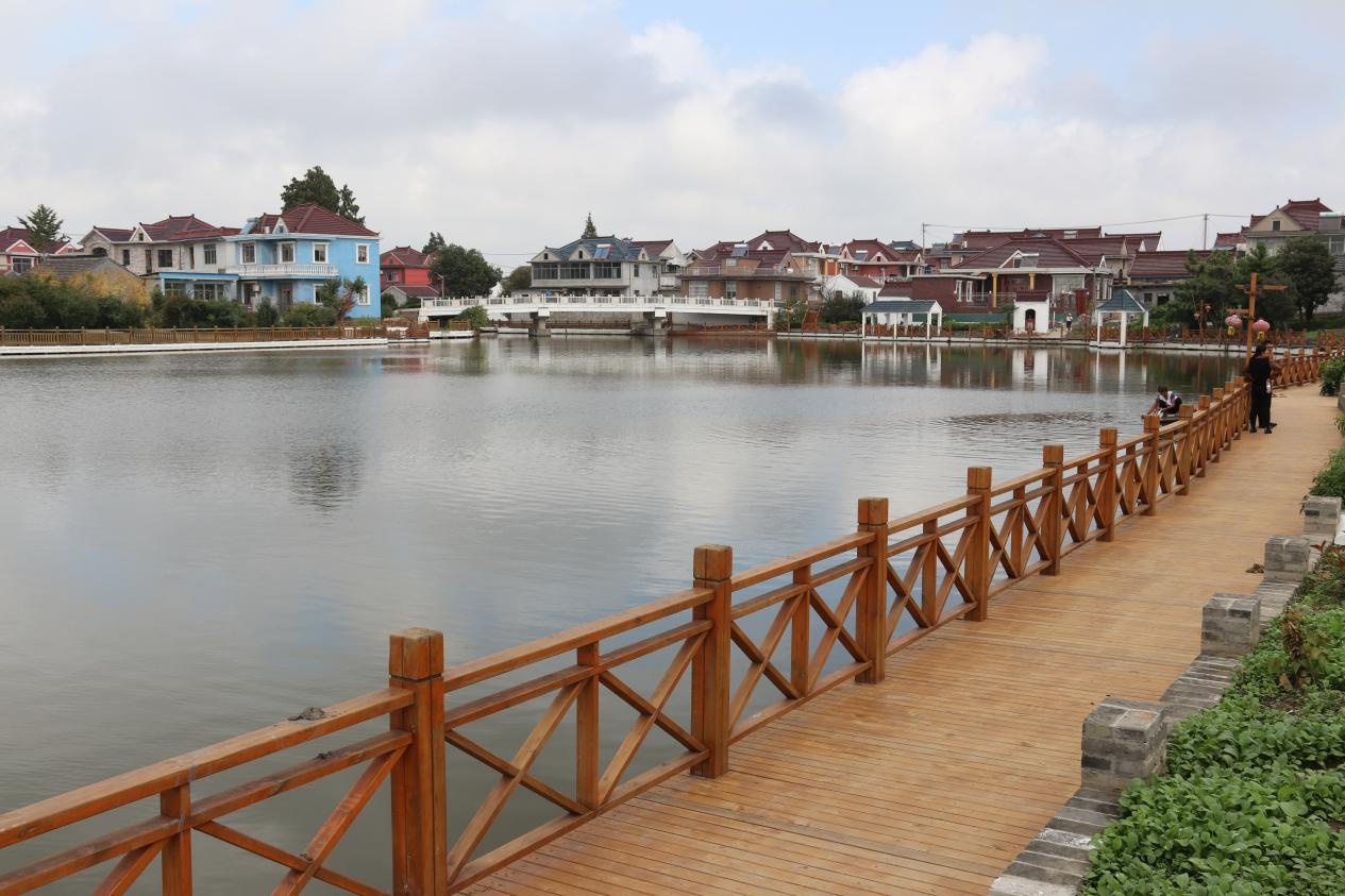 兴化市沙沟镇:"三个全覆盖"整治水环境