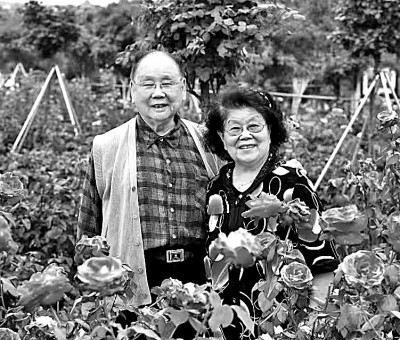 王善朴,杨华瑞:台上黄金搭档,台下伉俪情深