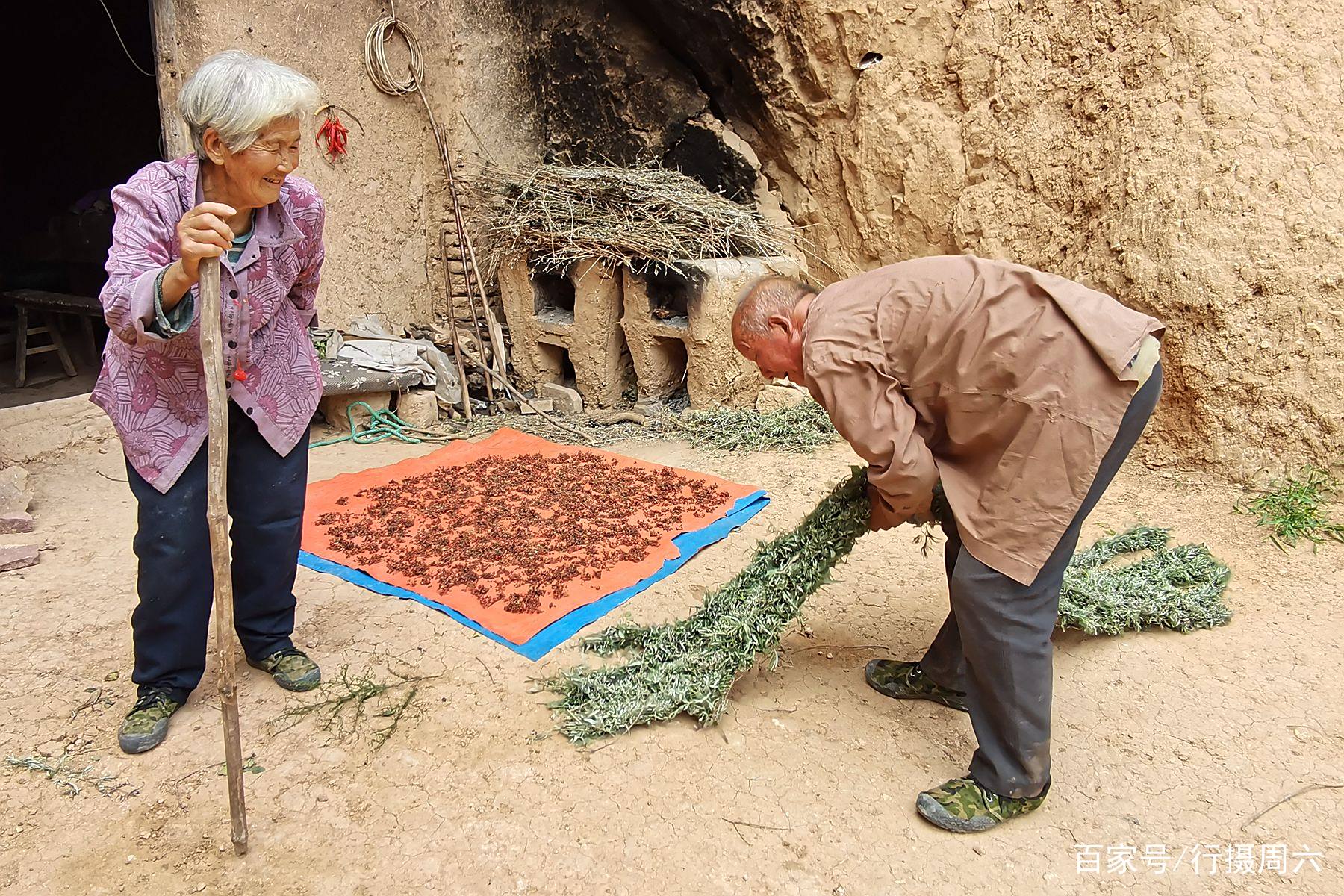 什么叫十割(十割狂魔作品)