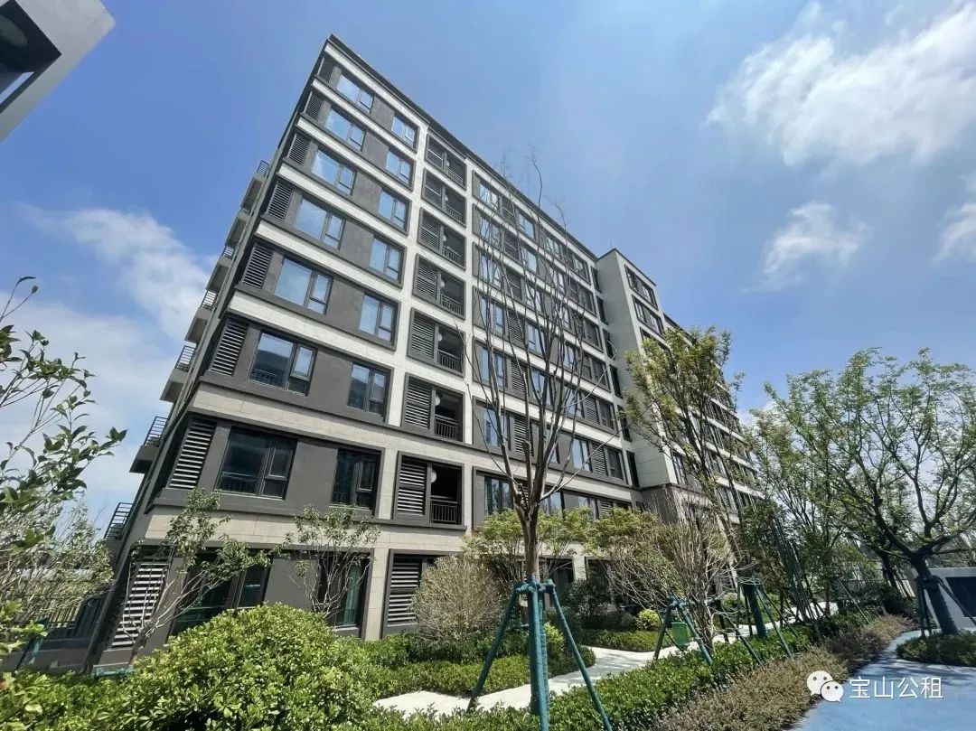 宝山又推出1000套公共租赁房，赶快来看~