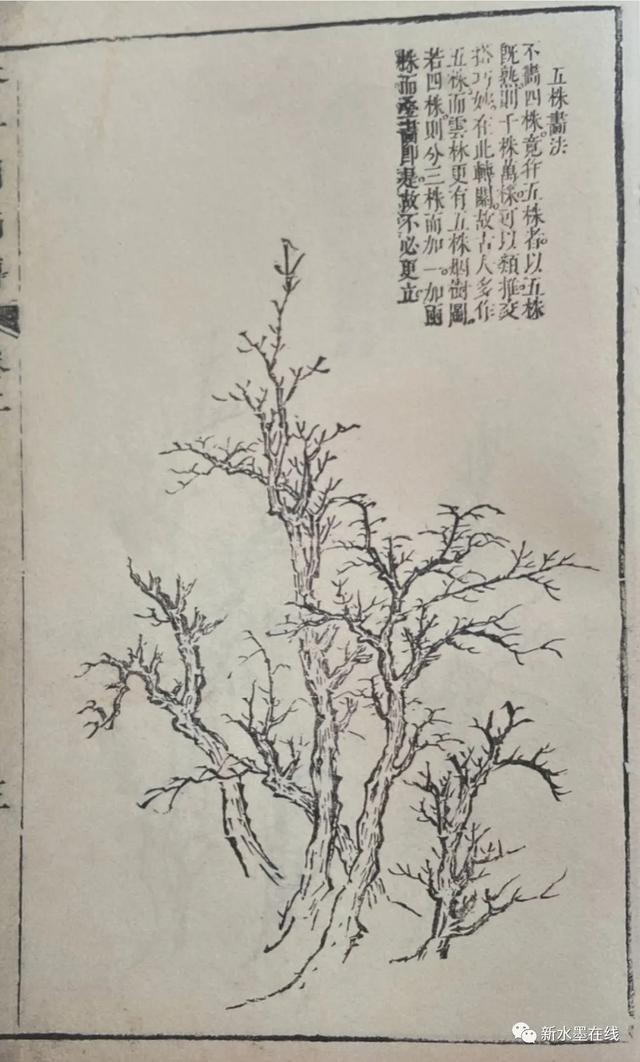 《芥子园画传》新解 第四章:五株画法