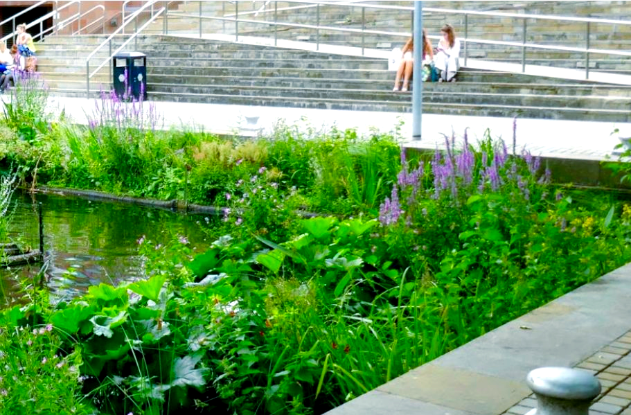 生态浮床的植物搭配艺术在生态浮床的设计中,植物的搭配至关重要,它