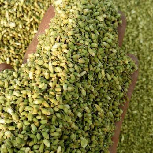 槐米烘干机 小型箱式槐米茶烘干设备