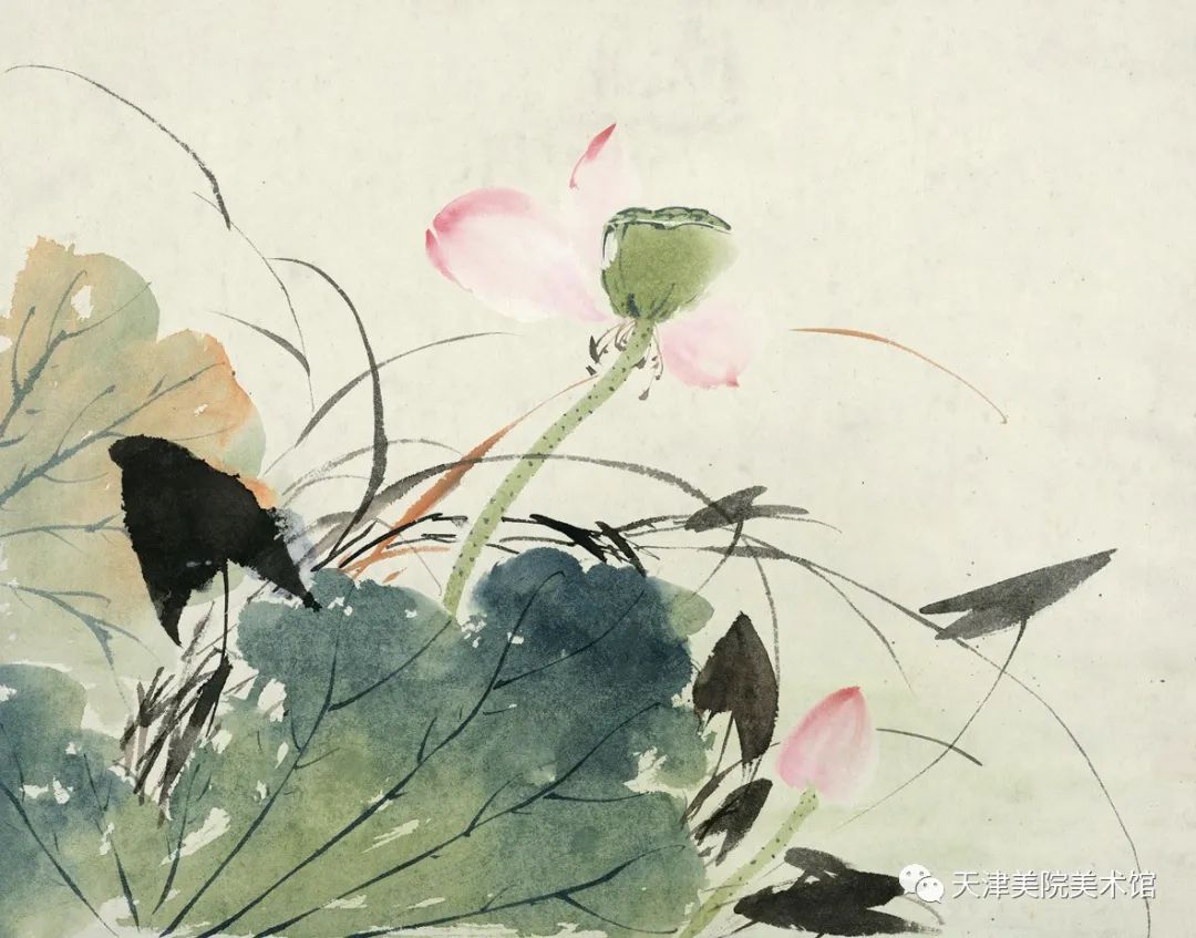 传薪:孙其峰先生中国画课徒稿作品欣赏