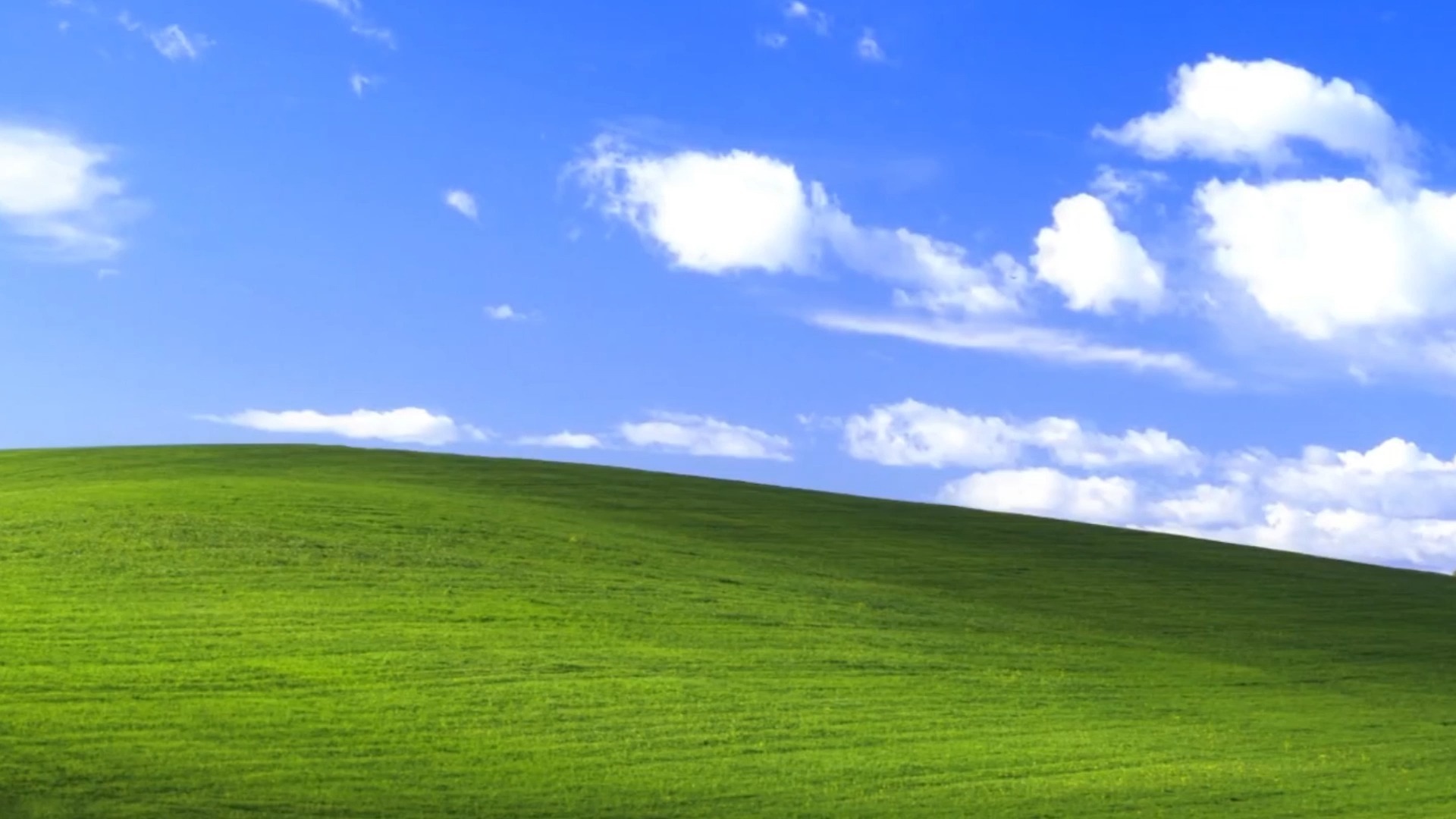 微软"老将"windows xp竟还有百万用户?2026年了,它的生存密码是什么?