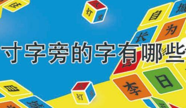 寸加一笔有哪些字15个