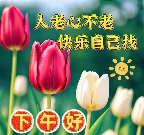 精选下午好图片温馨祝福传递爱与力量