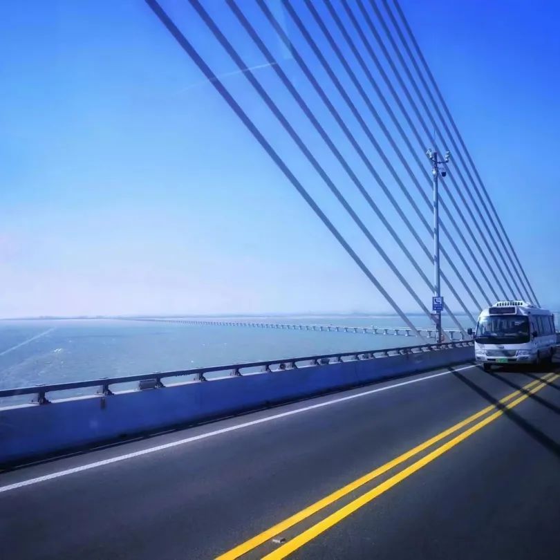 阳和启蛰 万物维新 | 法影斑斓