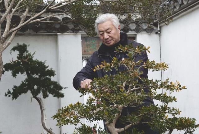 「最美家力量」袁金华家庭:十年筑一园,传扬家国情