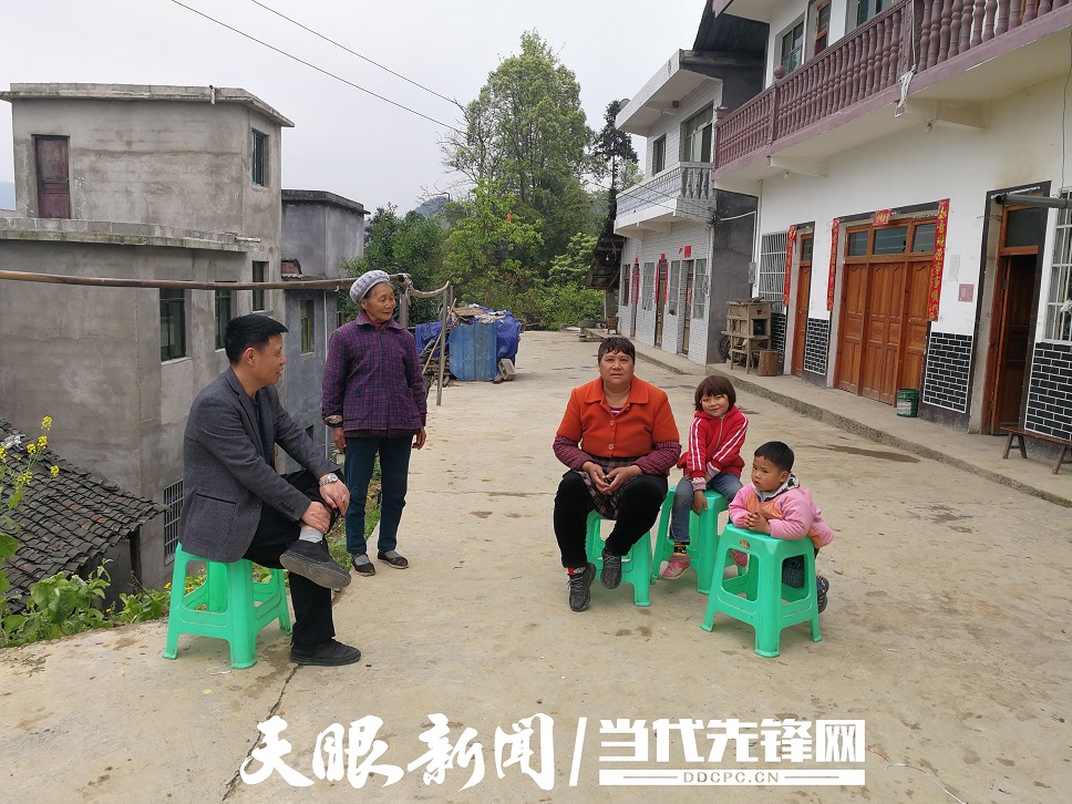 「我的扶贫故事」2年后,我回来摘白茶丨正安县杨兴镇新建村第一书记