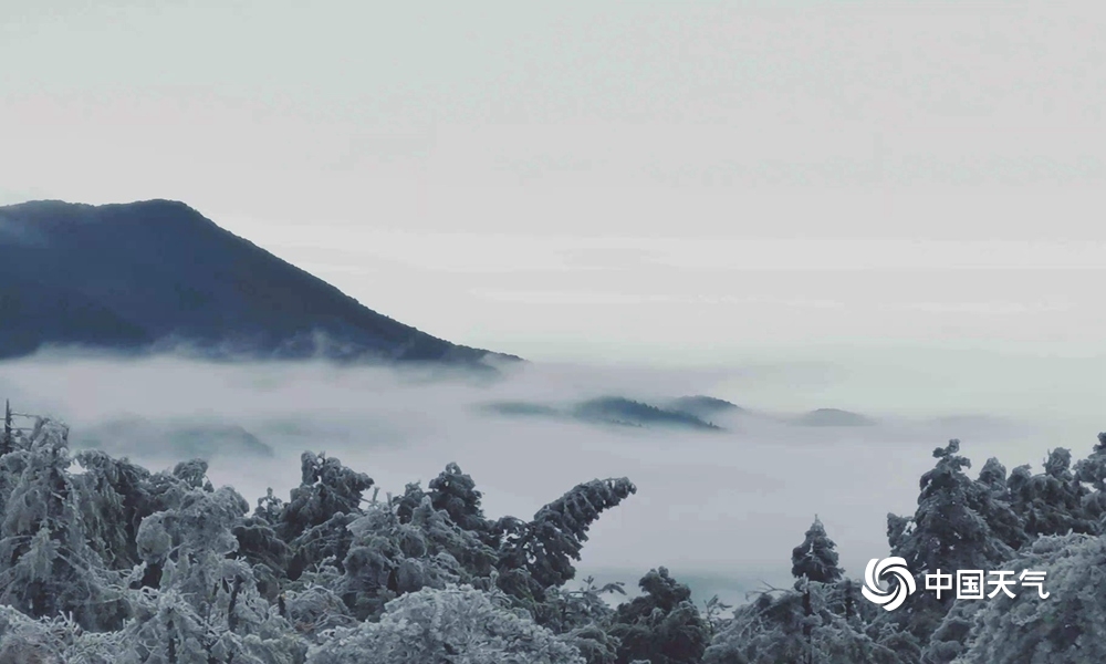 庐山雨凇图片