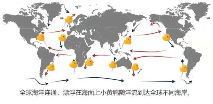 核废水入海会影响我们餐桌吗?看懂洋流和渔场你会有答案