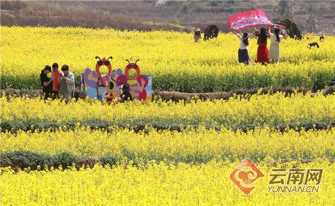 「高清组图」晋宁响水:菜花节开启乡村魅力文化生态之旅
