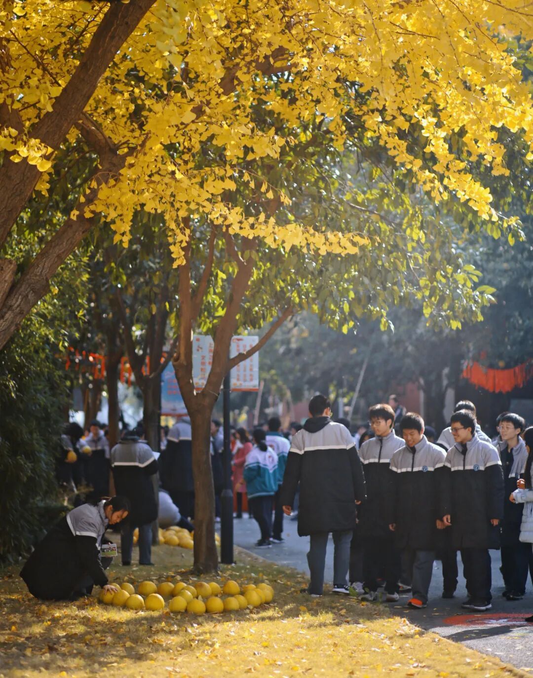 松江一中,茸一高中招聘教师