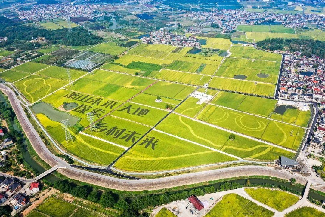 我区两个千亩方永久基本农田集中连片整治项目通过市级复核验收