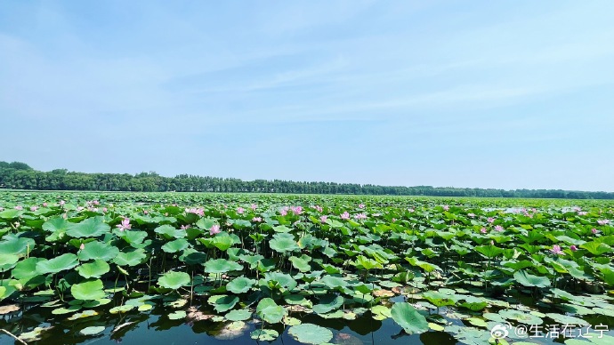 走进沈阳仙子湖