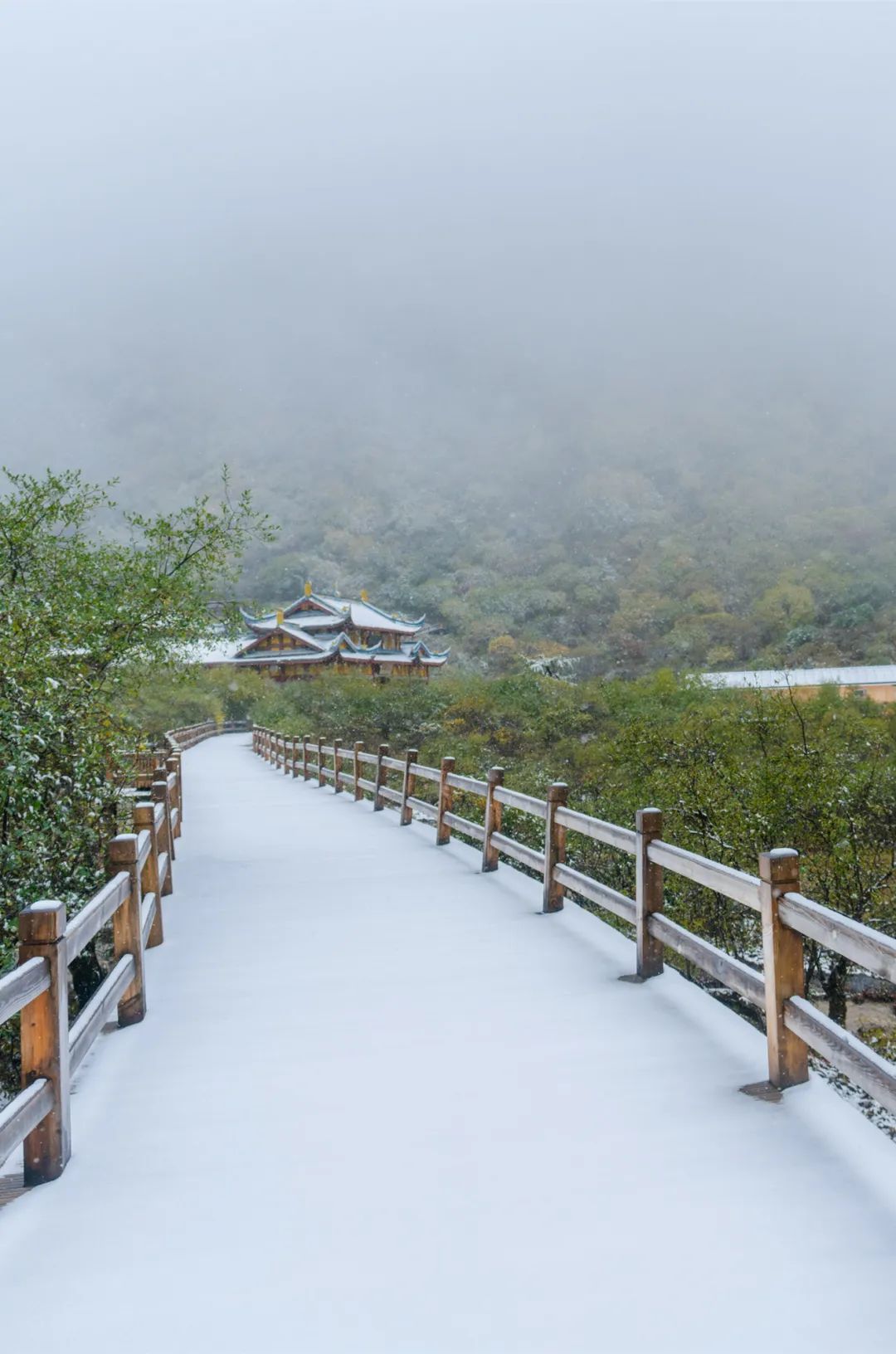 成都下雪照片图片