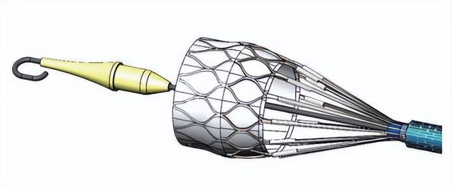 全球首例,生物可降解左心耳封堵器植入术完成