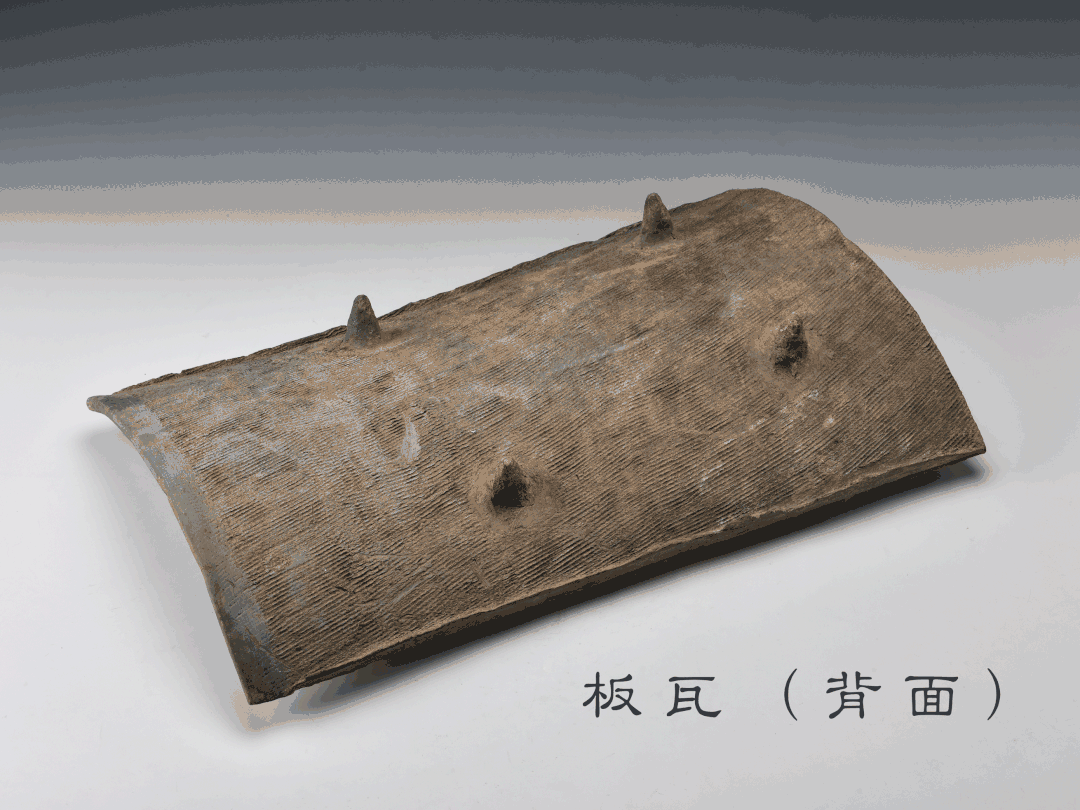 发现晋公墓!山西目前最大东周墓资料全面公布!