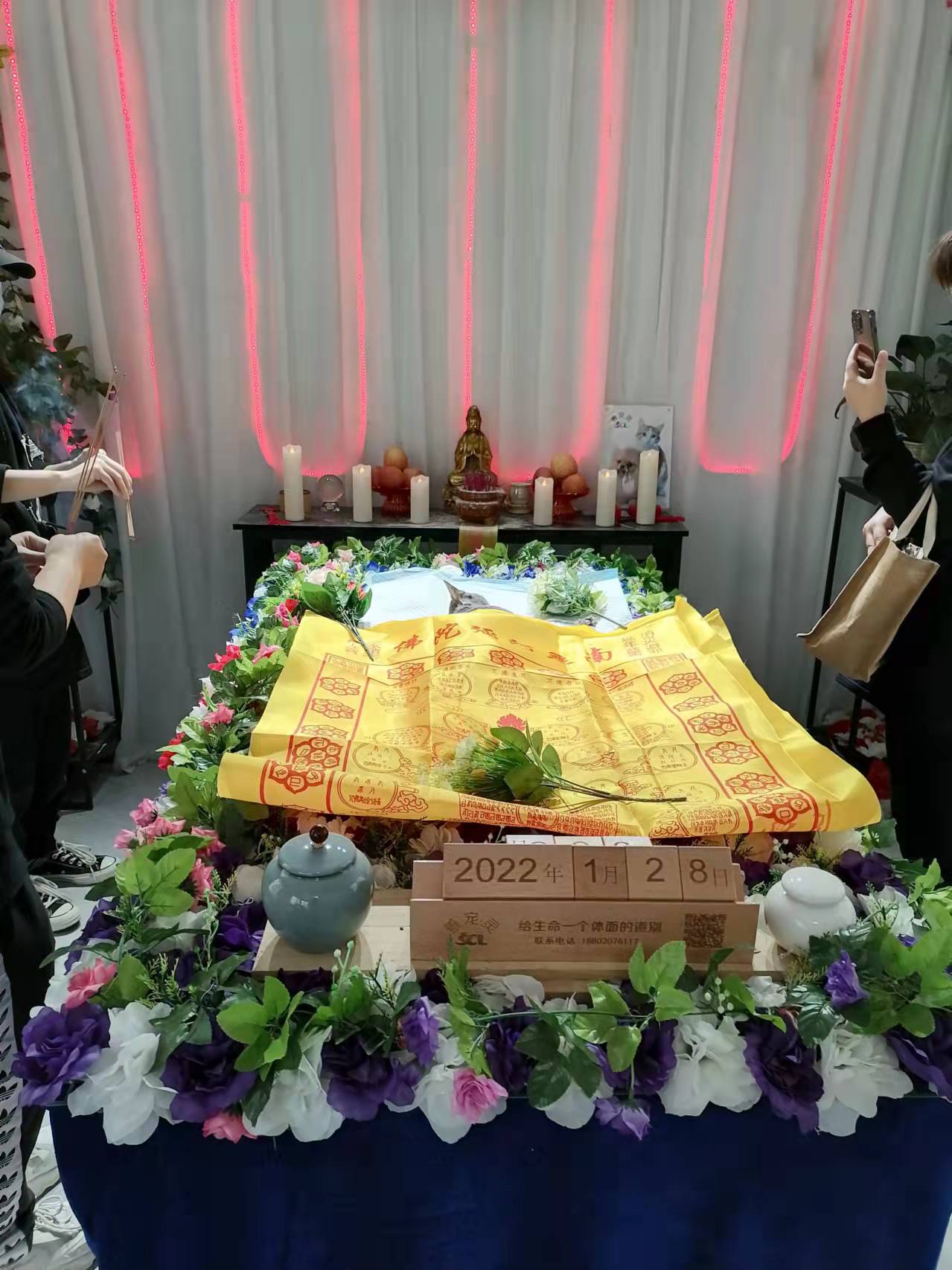 广州宠物火化的必要性