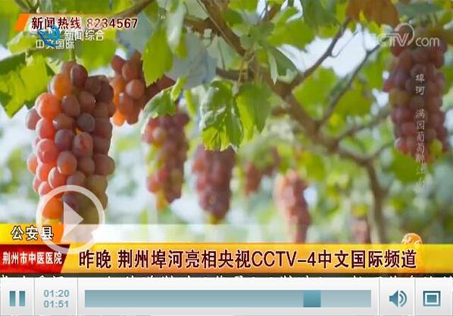 公安縣埠河鎮亮相央視cctv-4中文國際頻道