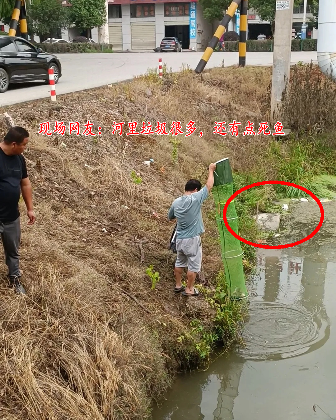 湖北一河道野魚浮頭,河邊釣魚人撈了許多,路人擔憂:這能吃嗎?